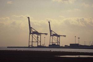 遺伝子に詳しい企業のRNA-Seq解析